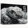 Acrylic wall art collection featuring a striking side view design of a snake, showcasing intricate details and vibrant colors, mounted with stylish pins for display.