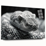 Acrylic wall art featuring a striking snake design in vibrant colors, displayed in a sleek side view without pins, perfect for reptile enthusiasts and modern decor.