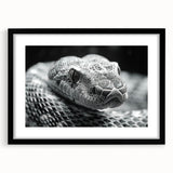 Black-framed wall art featuring a striking reptile and snake design, showcasing intricate details and vibrant colors, perfect for animal lovers and home decor enthusiasts.