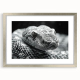 Framed wall art featuring a striking reptile snake design in vibrant colors, displayed with a sleek silver frame and mat, perfect for enhancing modern decor.