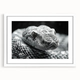 Framed wall art showcasing a detailed reptile snake design, featuring a white mat and sleek frame, perfect for enhancing modern decor in any room.
