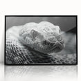 Framed wall art featuring a striking reptile snake design in vibrant colors, set in a sleek black frame, perfect for adding a modern touch to home decor.