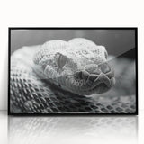 Framed wall art featuring a striking reptile snake design in vibrant colors, set in a sleek black frame, perfect for adding a modern touch to home decor.