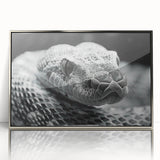 Framed wall art featuring a striking snake design in vibrant colors, set in a sleek silver frame, perfect for reptile enthusiasts and modern decor.