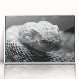 Framed wall art featuring a striking snake design in vibrant colors, displayed with a sleek white frame, perfect for reptile enthusiasts and modern decor.