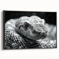 Framed canvas wall art showcasing a striking snake design with intricate patterns, featuring a black frame and side view perspective, perfect for reptile enthusiasts.