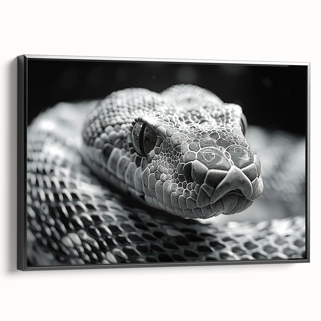Framed canvas wall art showcasing a striking snake design with intricate patterns, featuring a black frame and side view perspective, perfect for reptile enthusiasts.
