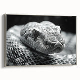 Framed wall art showcasing a striking snake design in a silver frame, perfect for reptile enthusiasts and modern decor, adding elegance to any space.