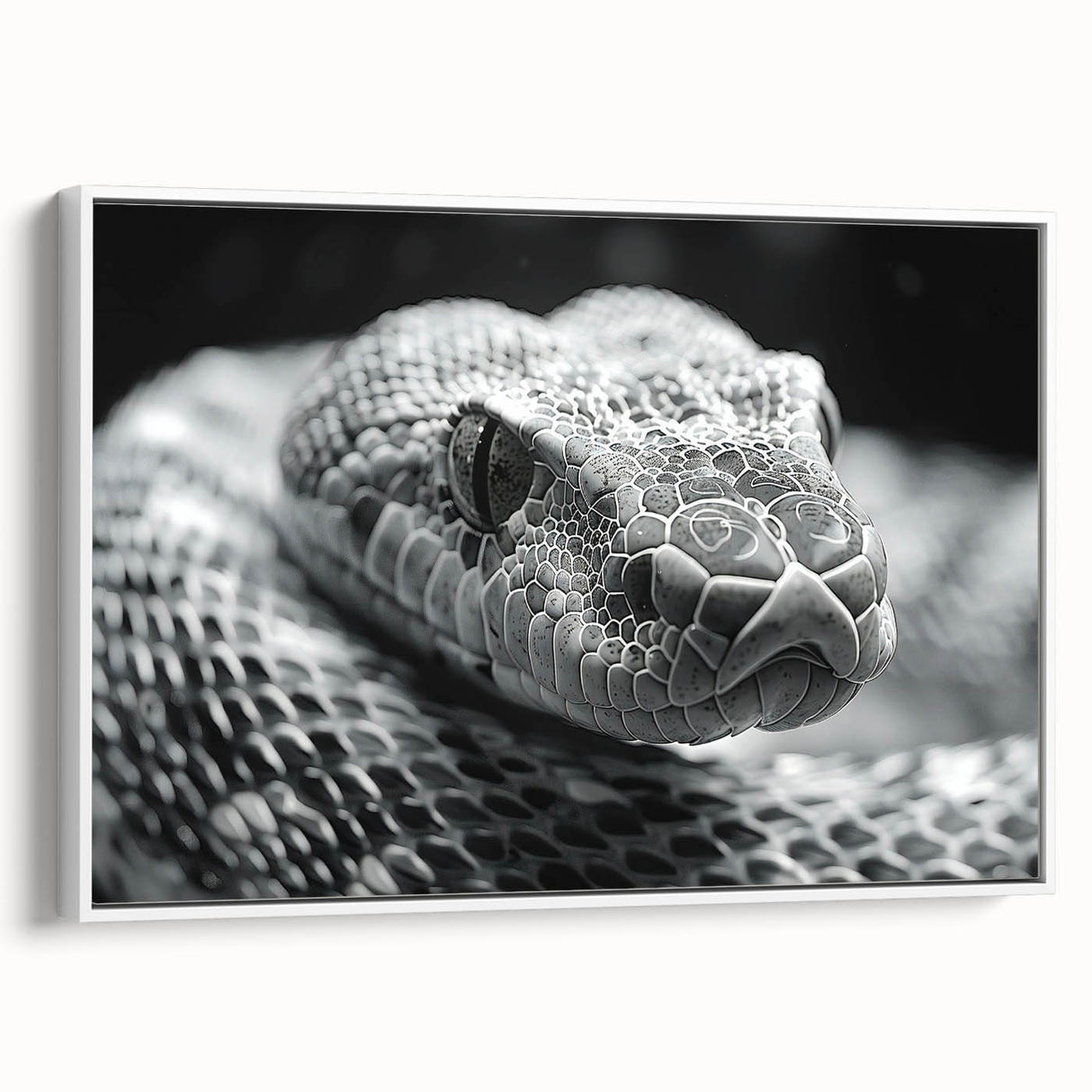 Framed wall art featuring a vibrant snake design in a modern style, showcasing intricate details and bold colors against a white background, perfect for reptile enthusiasts.