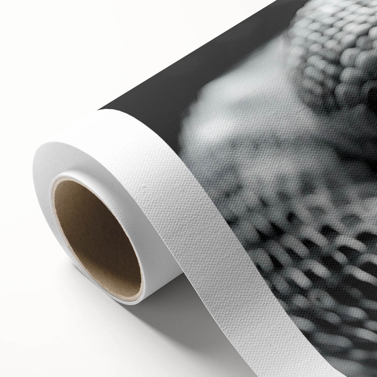 Colorful rolled canvas showcasing an intricate snake design in a modern reptile art style, perfect for adding a striking focal point to any room's decor.