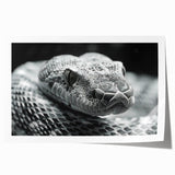 Colorful snake illustration designed for wall art, showcasing intricate details and vibrant hues, perfect for reptile enthusiasts' home decor.