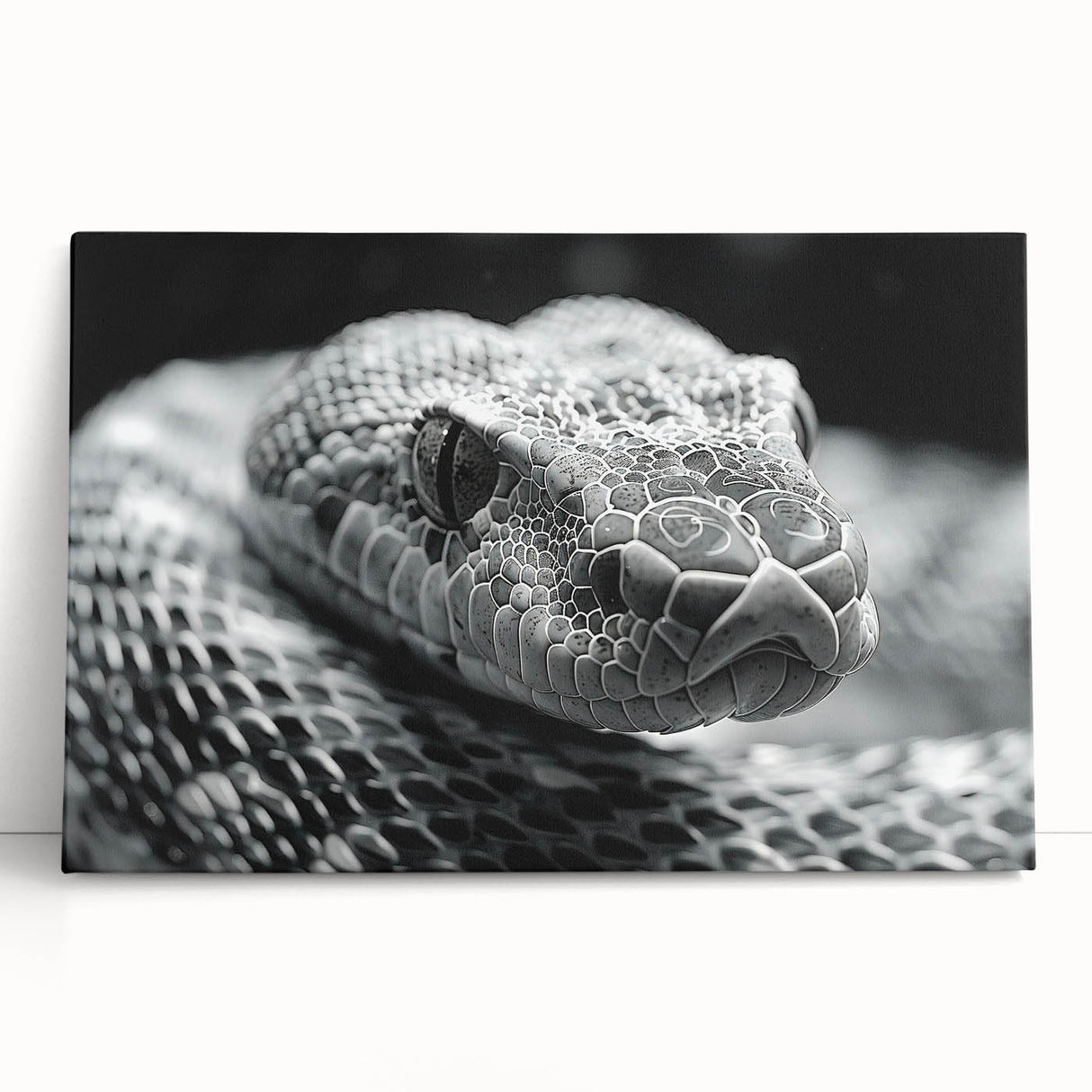 Stretched canvas wall art showcasing a vibrant snake design, featuring intricate scales and vivid colors, perfect for reptile enthusiasts and modern decor.