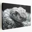 Vibrant stretched canvas wall art showcasing a detailed snake design in earthy tones, perfect for reptile enthusiasts and modern decor, adding a unique touch to any space.