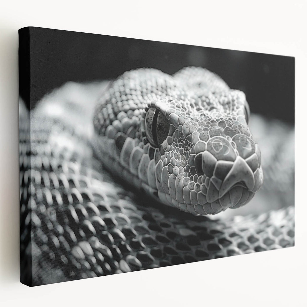 Vibrant stretched canvas wall art showcasing a detailed snake design in earthy tones, perfect for reptile enthusiasts and modern decor, adding a unique touch to any space.