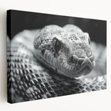 Vibrant stretched canvas wall art showcasing a detailed snake design in earthy tones, perfect for reptile enthusiasts and modern decor, adding a unique touch to any space.