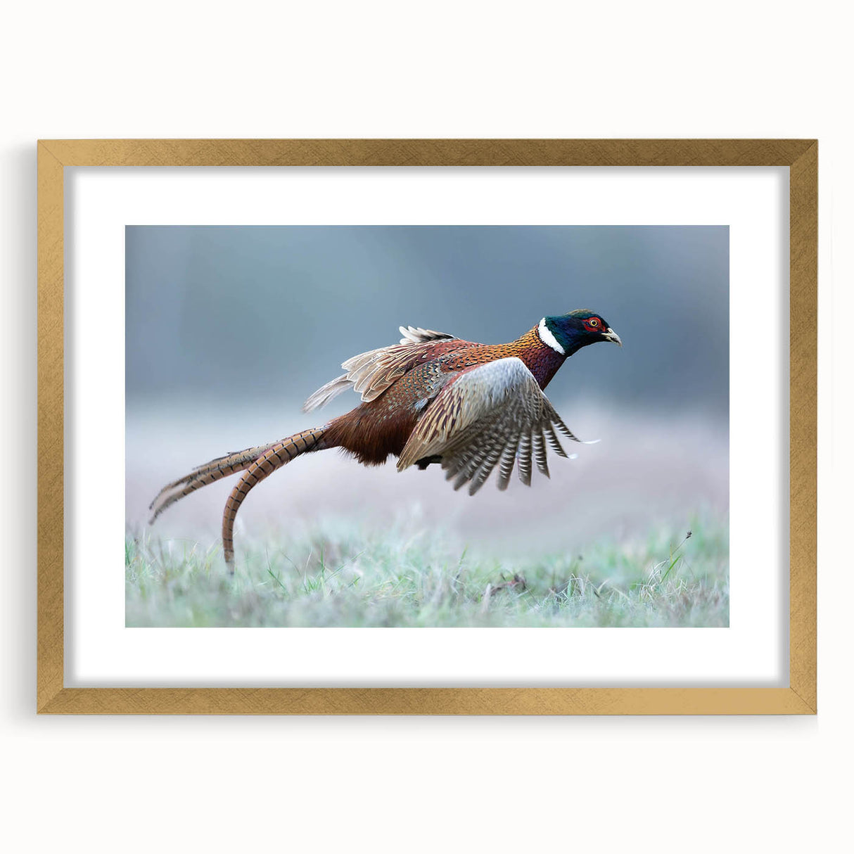 Elegant gold-framed artwork with a mat, showcasing a stunning abstract design. The frame features intricate detailing, enhancing the overall aesthetic appeal. Ideal for home decor.