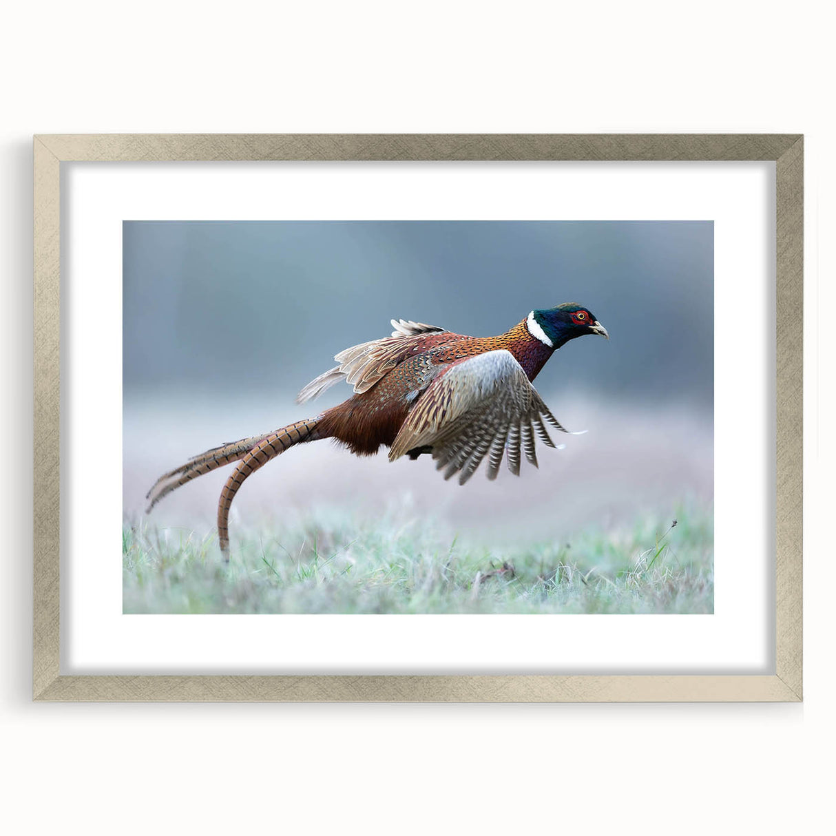 Elegant silver frame with a mat, showcasing a high-quality artwork in a front view setting, perfect for home decor or gallery display, enhancing any interior space.