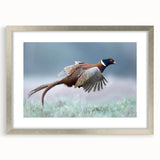 Elegant silver frame with a mat, showcasing a high-quality artwork in a front view setting, perfect for home decor or gallery display, enhancing any interior space.