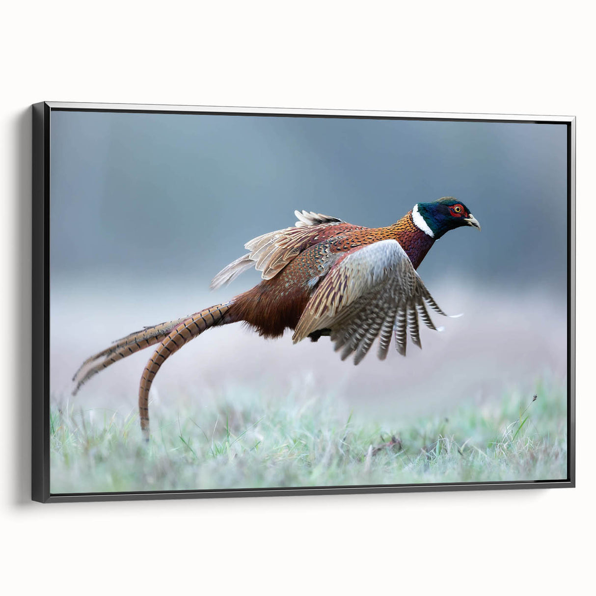 Framed canvas wall art showcasing a vibrant abstract design in bold colors, presented from a black side view, ideal for modern home decor.