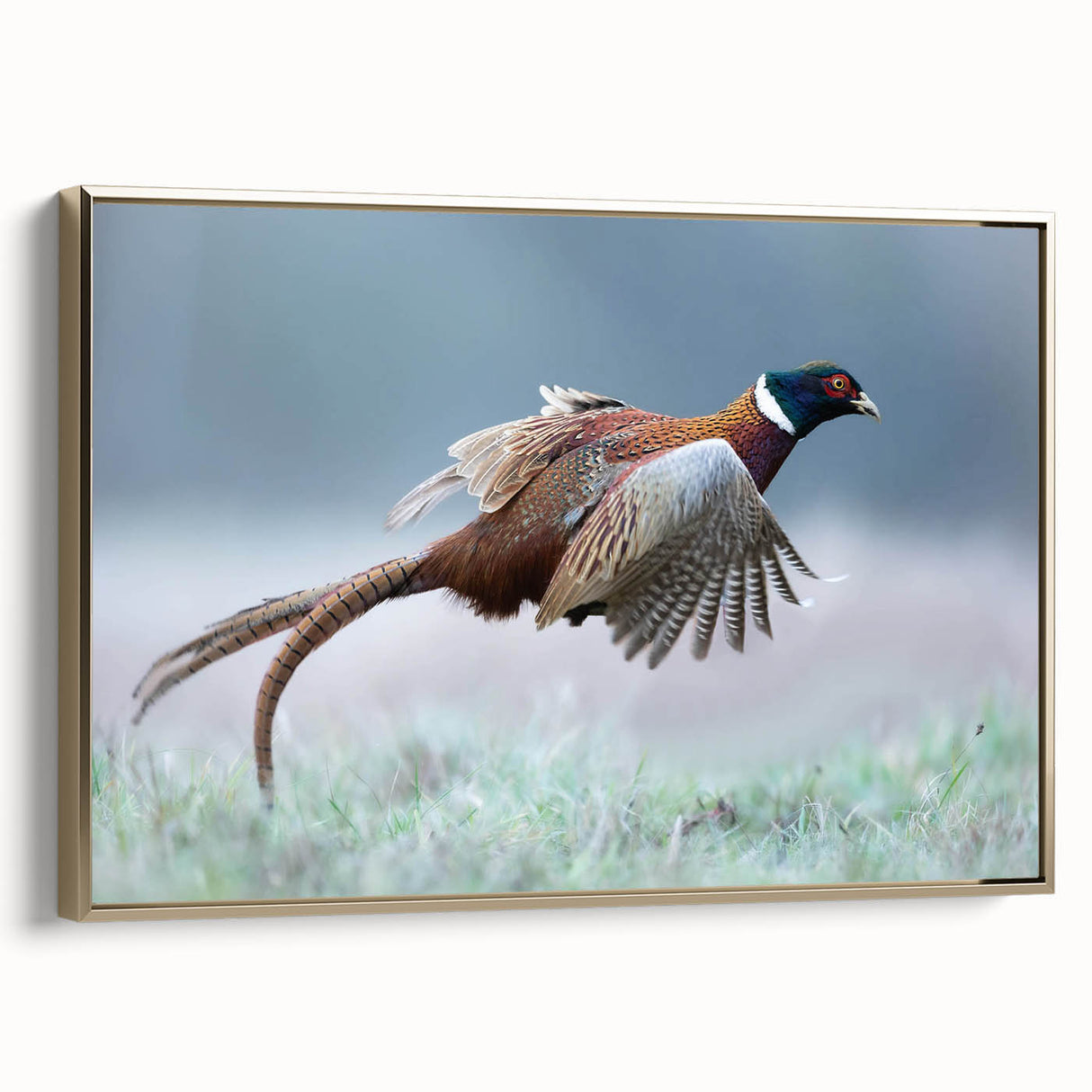 Framed canvas artwork featuring an elegant gold design, showcasing intricate patterns and textures, ideal for home decor or art enthusiasts.