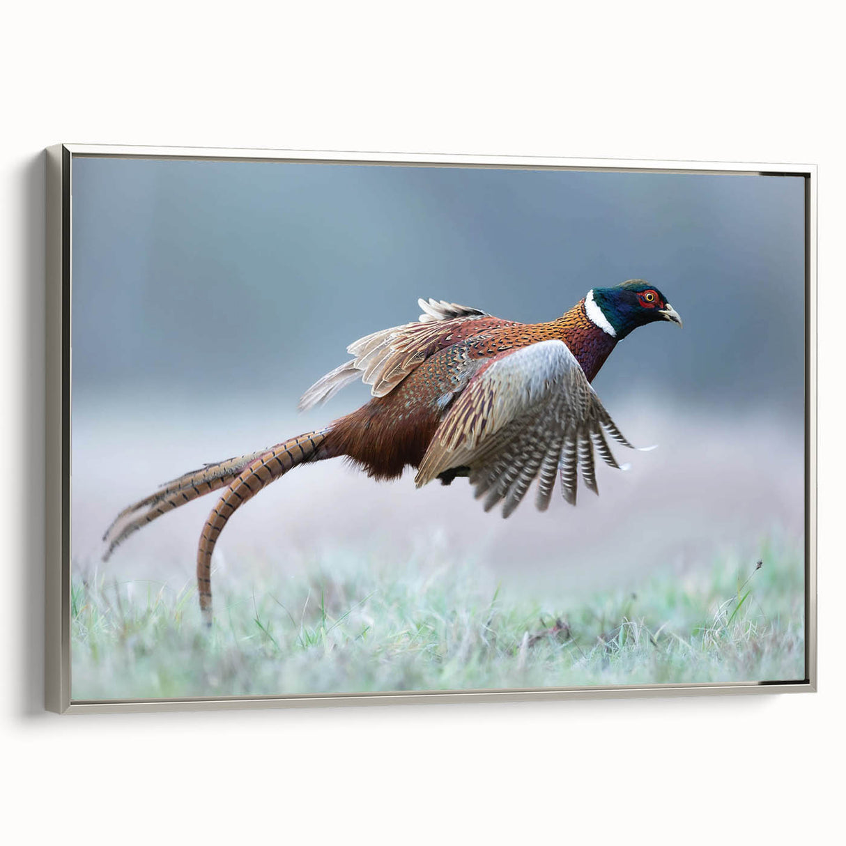 Framed canvas wall art showcasing a vibrant abstract design in rich blue and gold hues, elegantly displayed from the side to highlight its sleek silver frame.