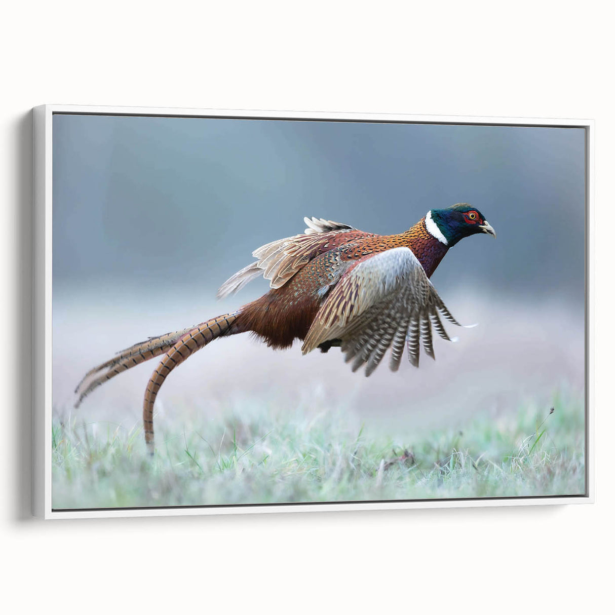 Framed canvas wall art depicting a serene nature landscape with vibrant colors, showcasing lush green trees and a tranquil lake, perfect for home decor.