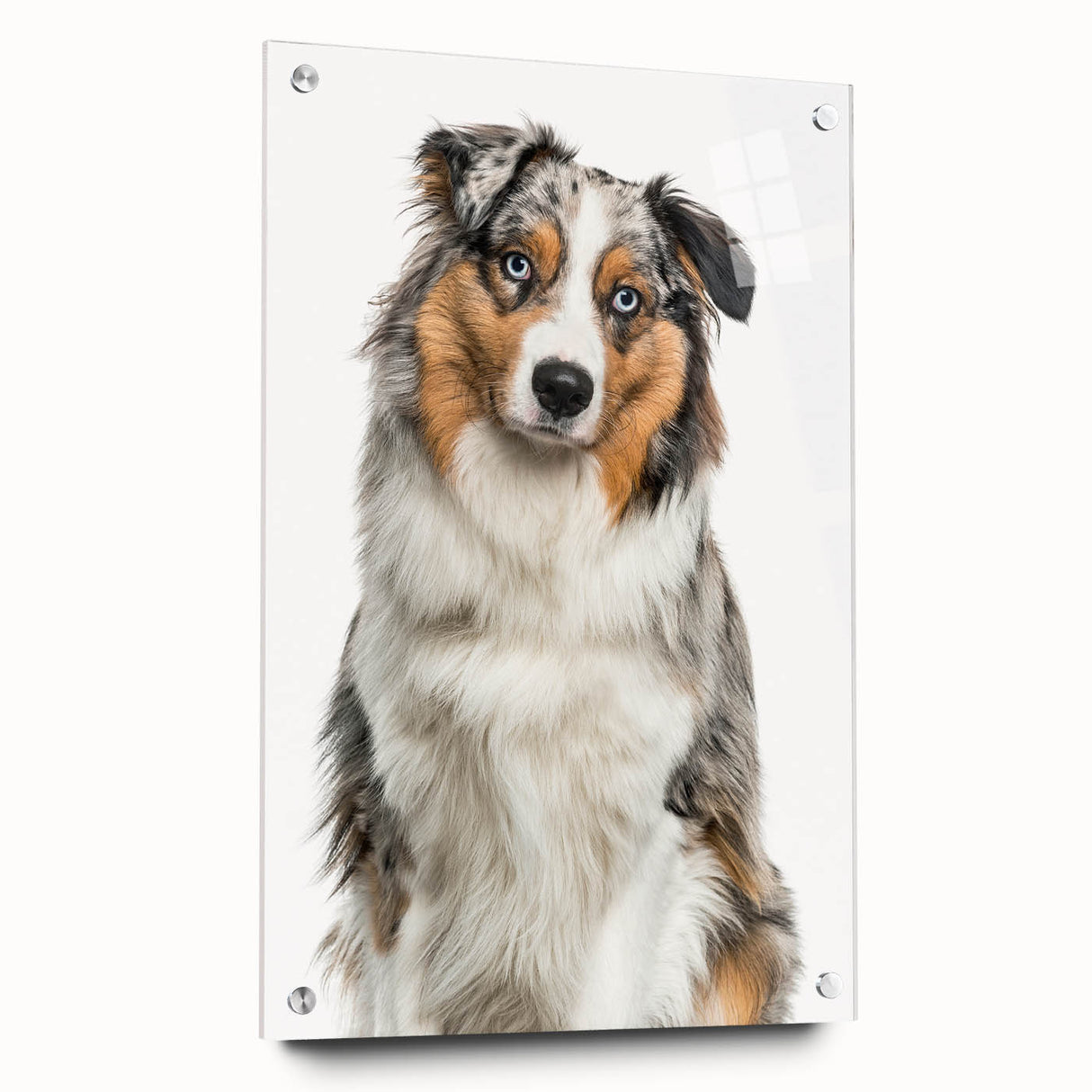 Acrylic glass side view showcasing colorful push pins arranged artfully on a white background, perfect for office organization and creative display.
