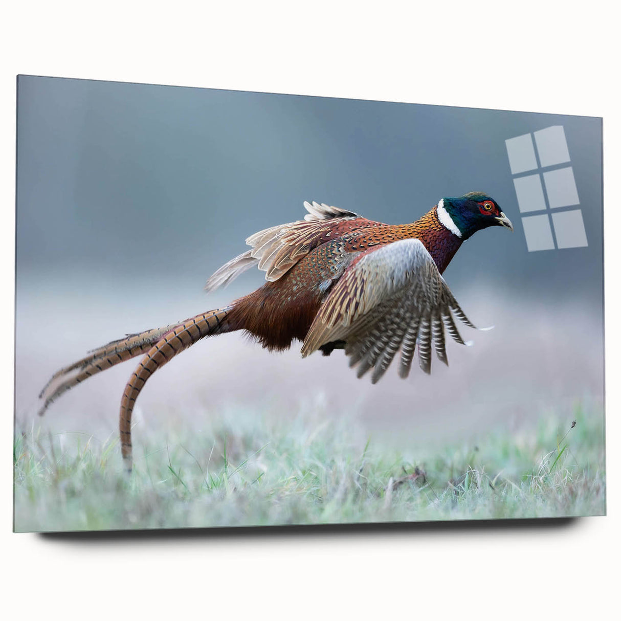 Acrylic glass panel showcasing a sleek, modern side view, featuring a clear finish that highlights reflections and colors, ideal for contemporary decor.
