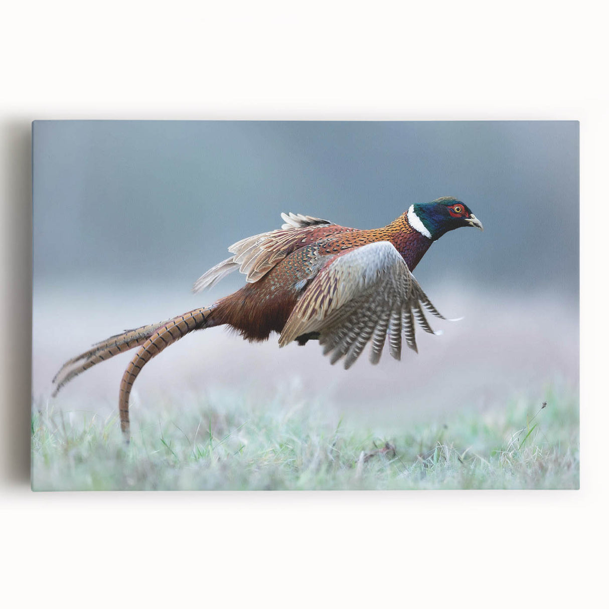 Vibrant stretched canvas artwork showcasing a dynamic abstract design in bold colors, ideal for home decor, enhancing modern interiors with artistic flair.