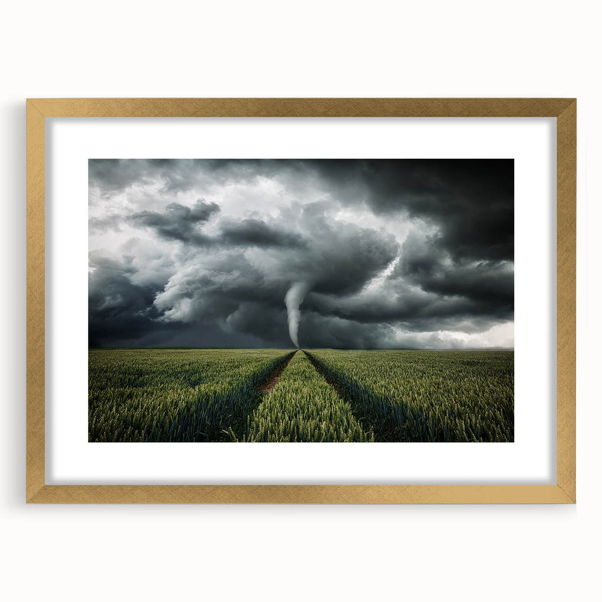 Tornado in a Stormy Field - Earthy Phenomena Wall Art Print