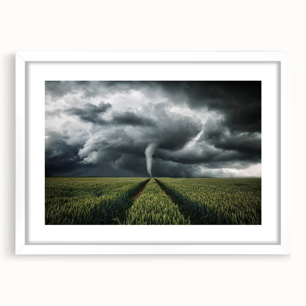 Tornado in a Stormy Field - Earthy Phenomena Wall Art Print