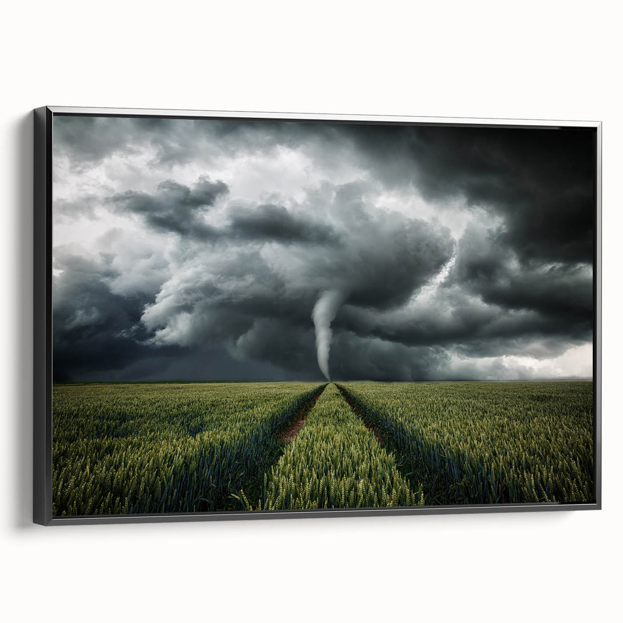 Tornado in a Stormy Field - Earthy Phenomena Wall Art Print
