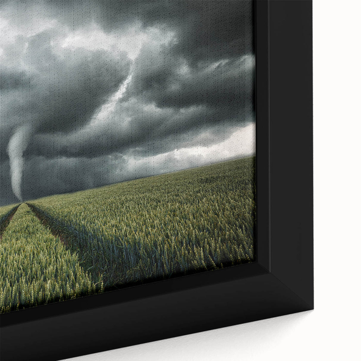 Tornado in a Stormy Field - Earthy Phenomena Wall Art Print