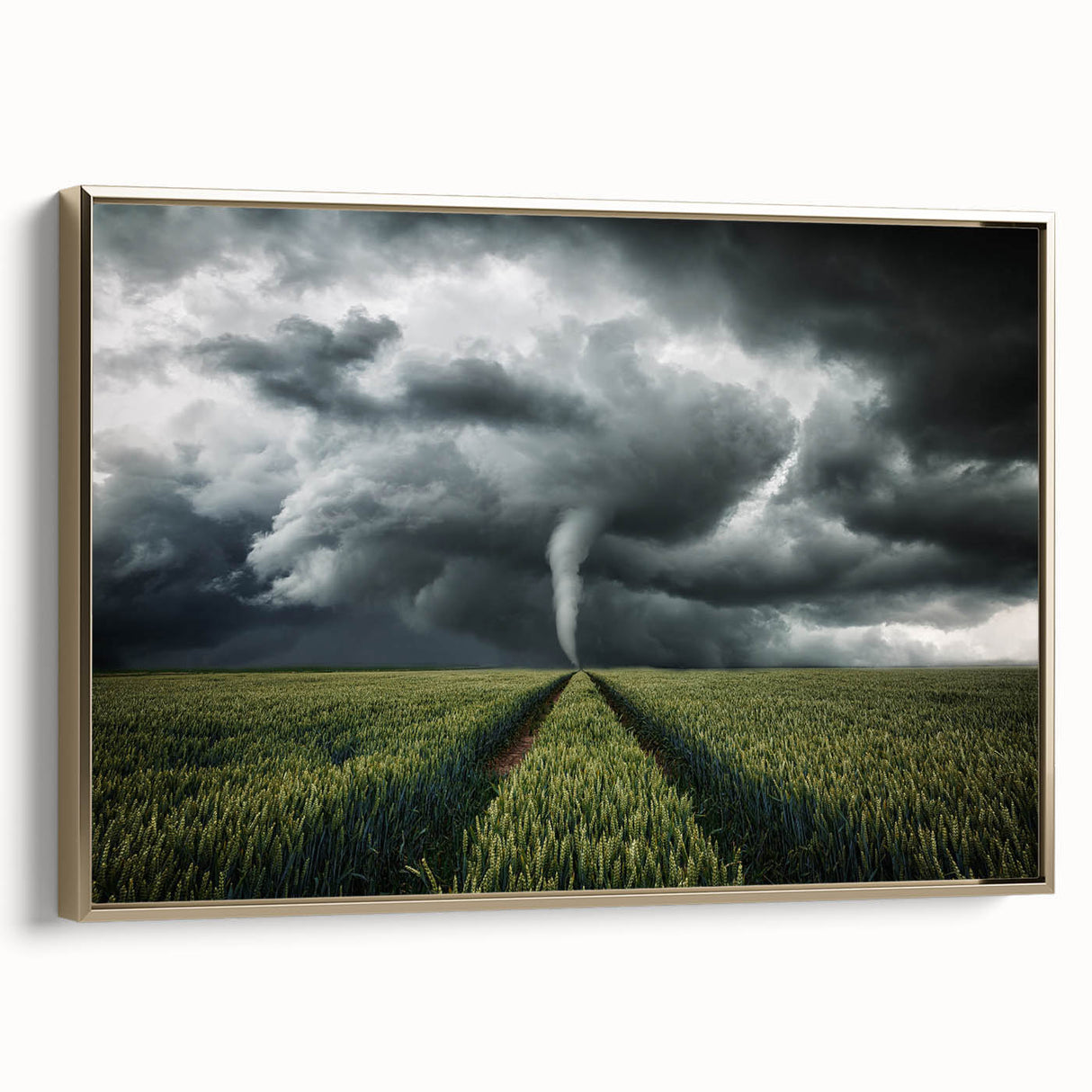Tornado in a Stormy Field - Earthy Phenomena Wall Art Print