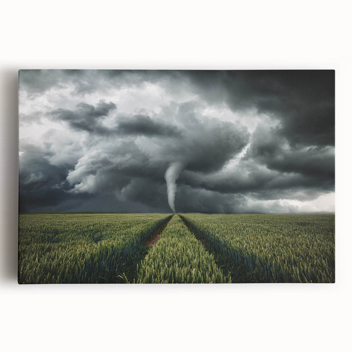 Tornado in a Stormy Field - Earthy Phenomena Wall Art Print