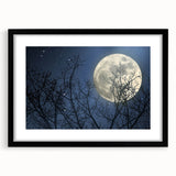 Stunning Moonlit Night Canvas – Celestial Decor with Lunar Phases