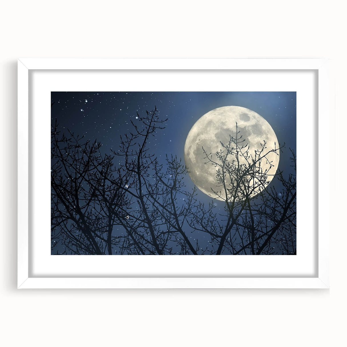 Stunning Moonlit Night Canvas – Celestial Decor with Lunar Phases