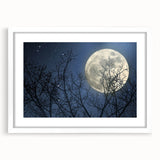 Stunning Moonlit Night Canvas – Celestial Decor with Lunar Phases