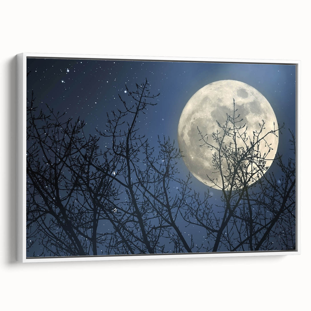 Stunning Moonlit Night Canvas – Celestial Decor with Lunar Phases