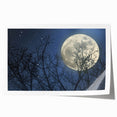 Stunning Moonlit Night Canvas – Celestial Decor with Lunar Phases