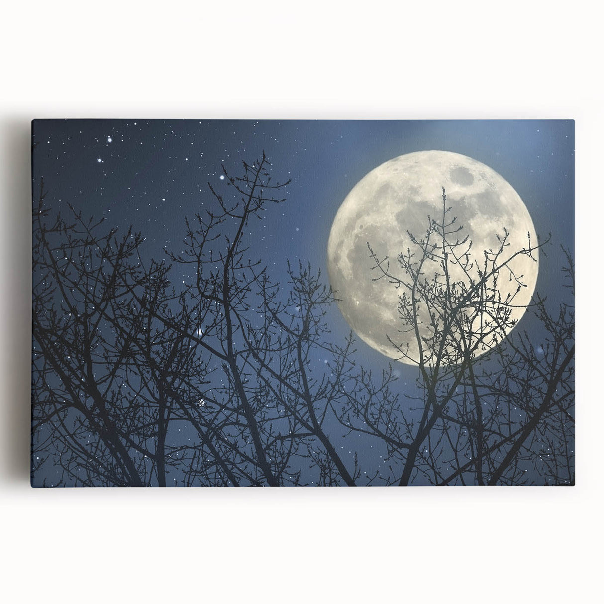 Stunning Moonlit Night Canvas – Celestial Decor with Lunar Phases