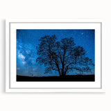 Starry Night Tree Silhouette Art - Cosmic Sky Wall Decor for Nature Lovers