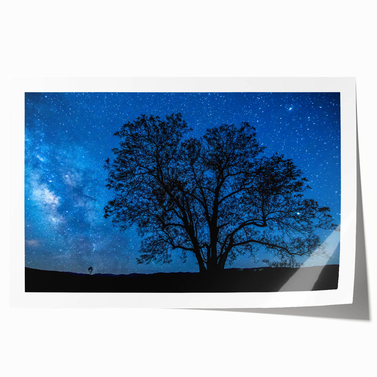 Starry Night Tree Silhouette Art - Cosmic Sky Wall Decor for Nature Lovers