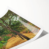 Extra large wall art featuring line art flowers in muted earth tones on a rolled canvas, ideal for large living room decor.