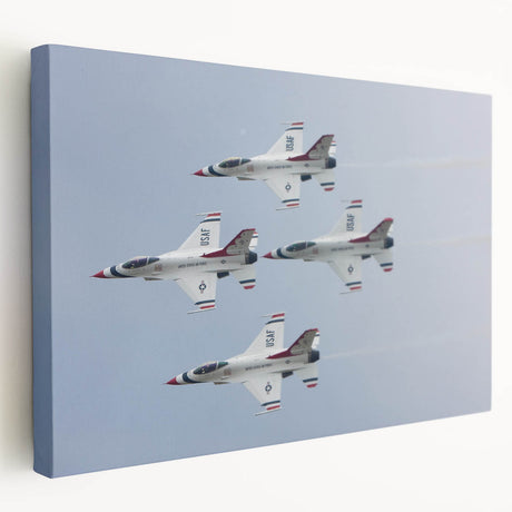 Large stretched canvas featuring a detailed illustration of a vintage airplane in muted earth tones.