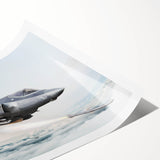 Extra large wall art featuring a floral airplane design on a rolled print.