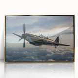 Mid-century modernist airplane illustration in muted gray and blue tones, acrylic print framed in gold.