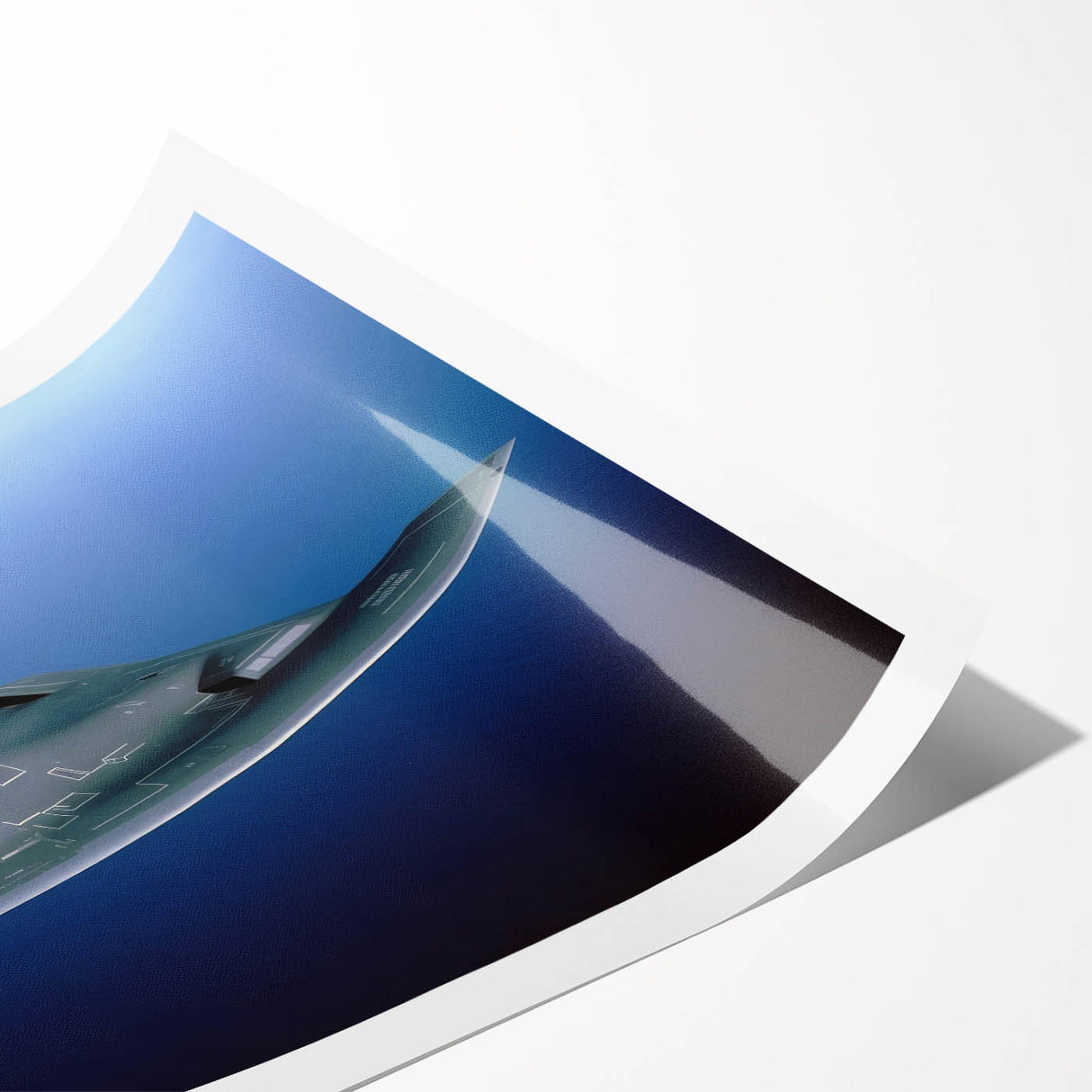 Extra large rolled print featuring a detailed airplane diagram on a white background, suited for classy bathroom wall art.