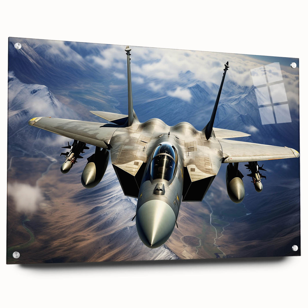 Side view of a large abstract airplane design in muted gray tones on acrylic glass.