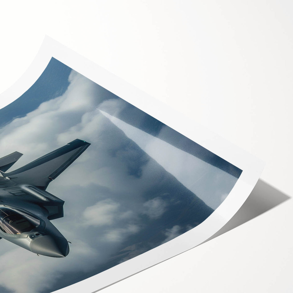 Extra large rolled print featuring a vintage airplane design in muted earth tones, ideal for art wall dining room.